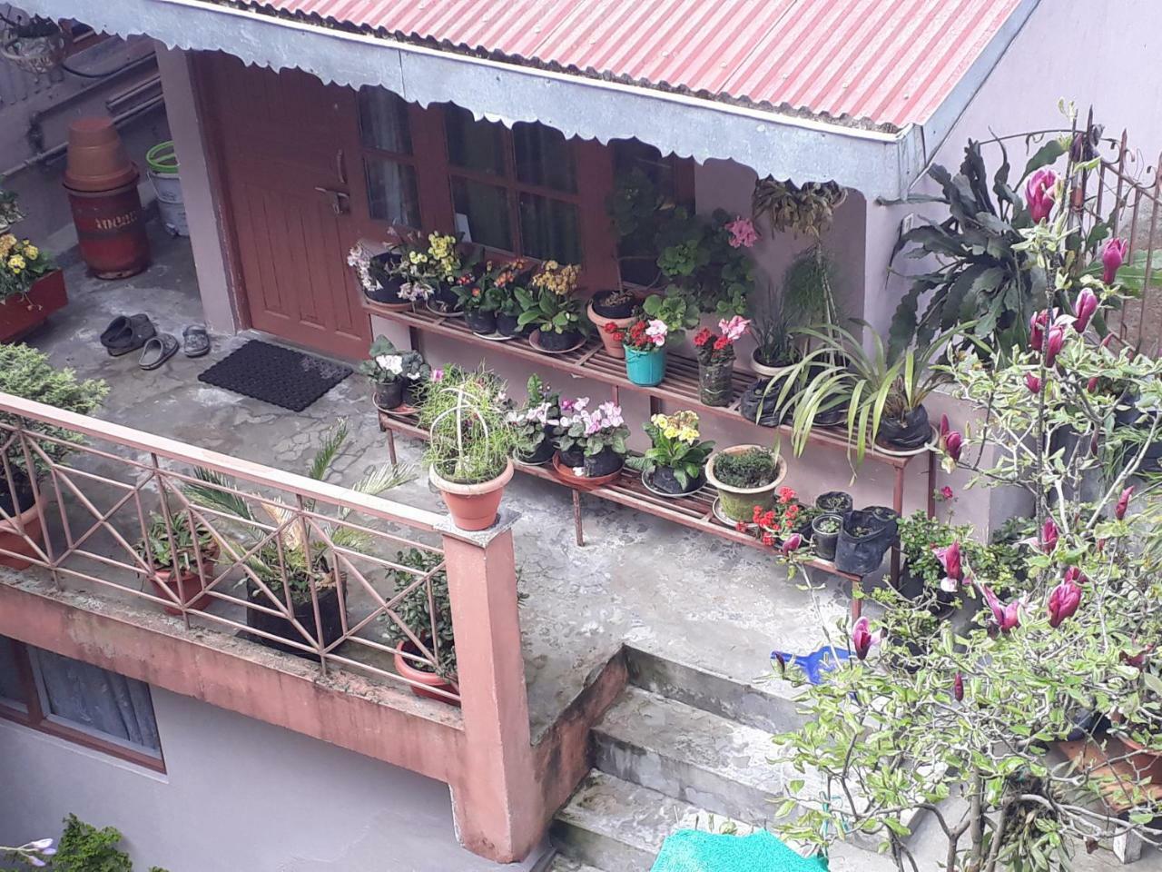 Little Singamari Home Stay ดาร์จีลิง ภายนอก รูปภาพ
